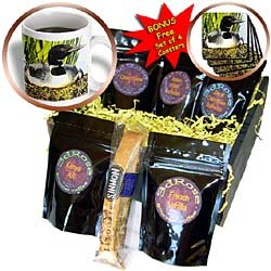 Birds - Loon Duck - Coffee Gift Baskets - Coffee Gift Basket by Decaf Espresso Roast