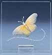 2 Lasting Expressions "The Butterfly Counts the Moments Not the Months" Plaques