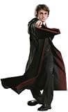 Harry PotterTM With Wand in Motion Wall Art from Harry Potter and the Goblet of FireTM