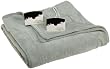 Biddeford 100% Poly Knit Queen Sage  MicroPlush Heated Blanket
