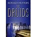 The Druids: A History