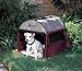 Great Products For A Dog Owner And Your Dog