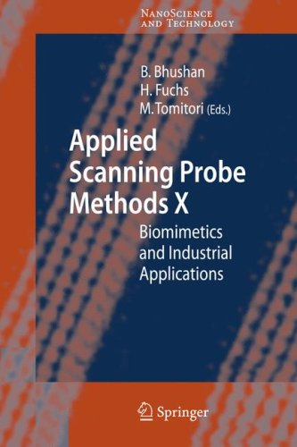 Probe