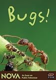 : NOVA: Bugs