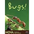 NOVA: Bugs ~ Nova