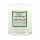 Parks(�p�[�N�X) Aromatherapy �t���O�����X�L�����h�� �`���[�x���[�Y�A�C�����C�����A�i�c���O&�[���j�E�� PKNW21