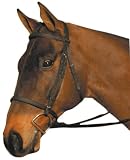 Wintec Synthetic English Bridle with Padded Nose and Brow - Your choice color and size