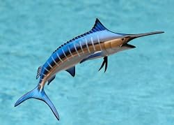 Taxidermy Quality 13" Fiberglass Blue Marlin Wall Mount
