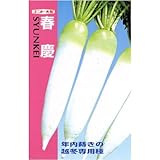 �t�c (�i���g��z) ����:4ml