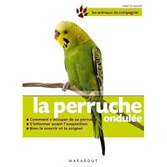 La perruche ondul�e