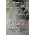 No Lack of Courage: Operation Medusa, Afghanistan