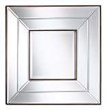 Cooper Classics 4862 Clarence Decorative Mirror