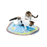 キャッチミーイフユーキャン