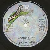 GOODBYE GIRL 7" (45)