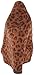 Michael Antonio Women's Avalon Wedge Pump