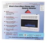 ProCom Blue Flame Vent-Free Liquid Propane Heater - 28,000 BTU, Model# ML300TBA
