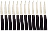 Pradel Excellence - KN2002-17 - Coffret Cuisine Japonaise de 17 Couteaux - Manche Nylon