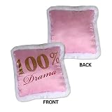 Disney High School Musical Embellished and Embroidered Decorator Pillow