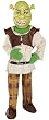 Deluxe Kids Shrek Costume - Child Large