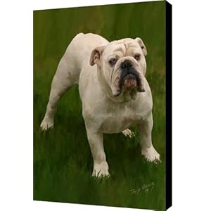 Bruce the Bulldog Canvas Print - Canvas Art