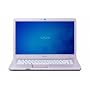 Sony VAIO VGN-NW240F/P 15.5-Inch Pink Laptop (Windows 7 Home Premium)