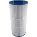 Filbur FC-3964 Antimicrobial Replacement Filter Cartridge for Caldera 75 Pool and Spa Filter