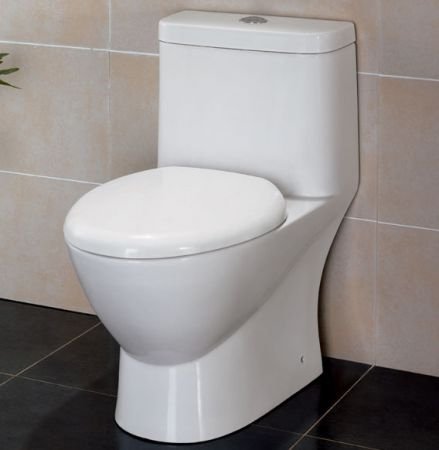EAGO TB346 Modern Dual Flush One EcoFriendly Ceramic Toilet,