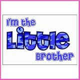 Im The Little Brother Iron-On Decal
