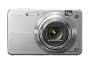 Sony Cybershot DSCW150 8.1MP Digital Camera with 5x Optical Zoom with Super Steady Shot (Silver)