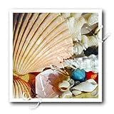 Sea Shells - 8x8 Iron On Heat Transfer For White Material