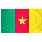 Cameroon Flag Polyester 3 ft. x 5 ft.