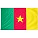 Outdoor Living : Cameroon Flag Polyester 3 ft. x 5 ft.