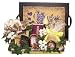 With Deepest Sympathy/Thinking of You Gift Basket