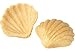 Roland Belgian Canape Seashells (Pack of 340)