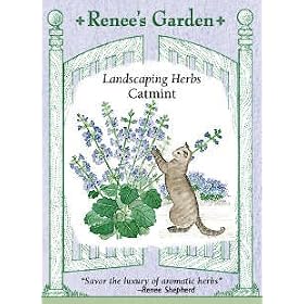 Catmint Seeds by 