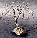Wire Bonsai Tree SculptureWillow Mini Tree 4x4x4 Reviews 41IPUPyK5aL. SL160 Wire Bonsai Tree SculptureWillow Mini Tree 4x4x4 Reviews
