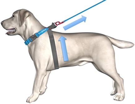 No-Pull Dog Halter Harness, Patented Technology, Safe Dog Leash, Dog Harness by The Original bodycollar, As Seen on TV , Large Blue (55-110 lbs)