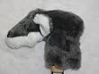 Grey Fox Putter Cover Special