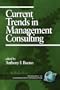 Current Trends in Management Consulting  (PB) (Marky Series)