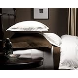 Pinzon 400-Thread-Count 100% Cotton Sateen Hotel Satin Stitch Duvet