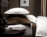 IMAGE OF Pinzon Hotel Stitch 400-Thread-Count Egyptian Cotton Sateen King Duvet Cover, Taupe