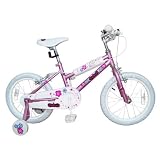 16 Pink Angels Bike