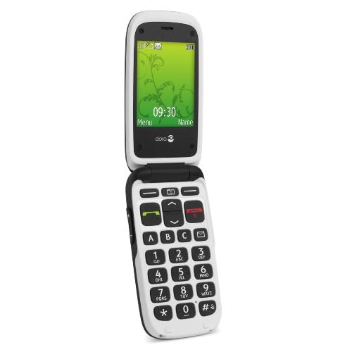 T�l�phone GSM DOROPHONEEASY612NOIR