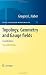 Topology, Geometry and Gauge fields: Foundations (Texts in Applied Mathematics)