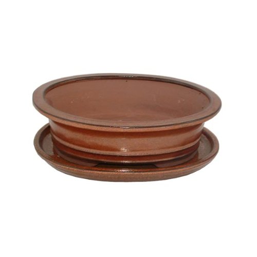 21cm Brown Glazed Oval Bonsai Pot and Tray Set 