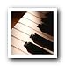 Piano Keys Poster Print