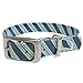 Kurgo Waterproof Muck Collar & Leash for Dogs | Matching Collar & Leash for Pets | Prepster Stripe Atlantic Blue | Medium