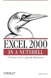 Excel 2000 in a Nutshell (In a Nutshell)