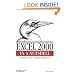 Excel 2000 in a Nutshell (In a Nutshell (O'Reilly))