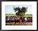 Bullock Cart Race, Madurai, Tamil Nadu, India Places Framed Art Poster Print by Greg ...